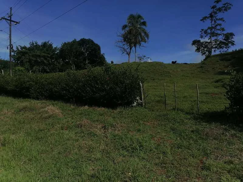 69.16 Acres Property | Mountain & Top Ocean View with Small Home - Gallery image 29