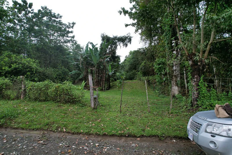 Land For Sale in Dos Brazos, Puerto Jimenez, Ideal For Home Surrounded by Nature - Gallery image 3