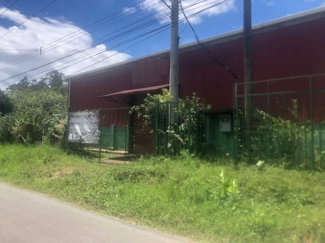 Coffee Farm in Monteverde is a full working Business - Gallery image 2