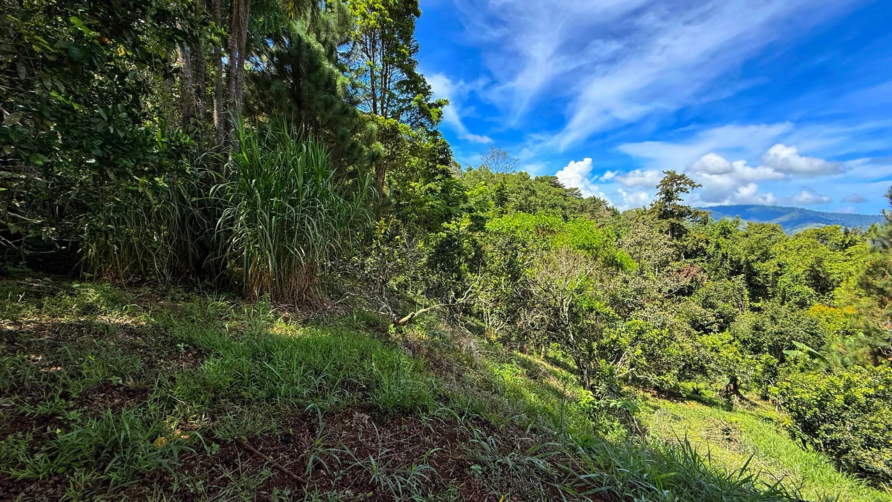 Home Construction Site For Sale in San Rafael Norte - Gallery image 6