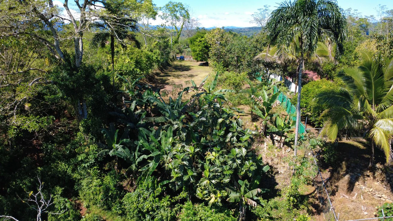 Countryside Home Construction Site For Sale in San Pedro - Gallery image 6