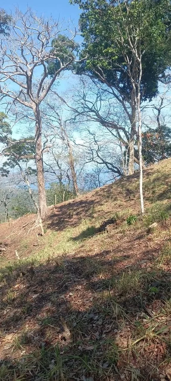 58 hectares: Ocean View Development Land for Sale in Tambor Costa Rica – 58 Hectares on the Nicoya Peninsula - Gallery image 12