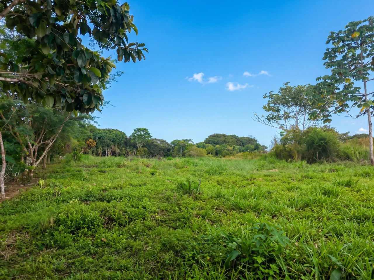 Home Construction Site For Sale in El Pilar - photo 5