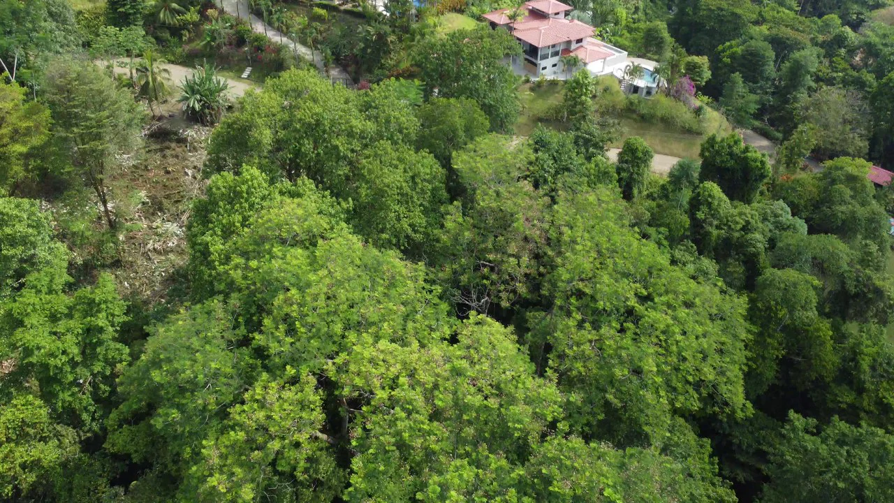Ojochal - 1 Acre Ready To Build Jungle Lot, Ocean Breezes in Wildlife Corridore - Gallery image 3