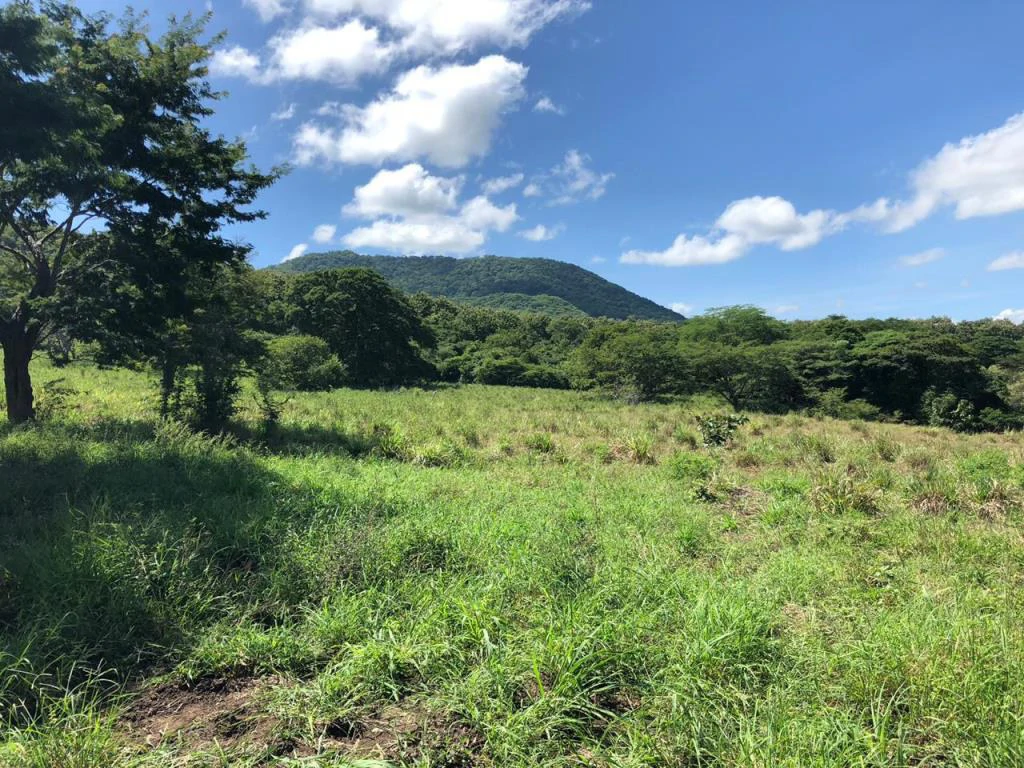 Huge dream Cattle farm for sale with 2 houses close to the Gulf of Nicoya, Guanacaste, Costa Rica - Gallery image 39