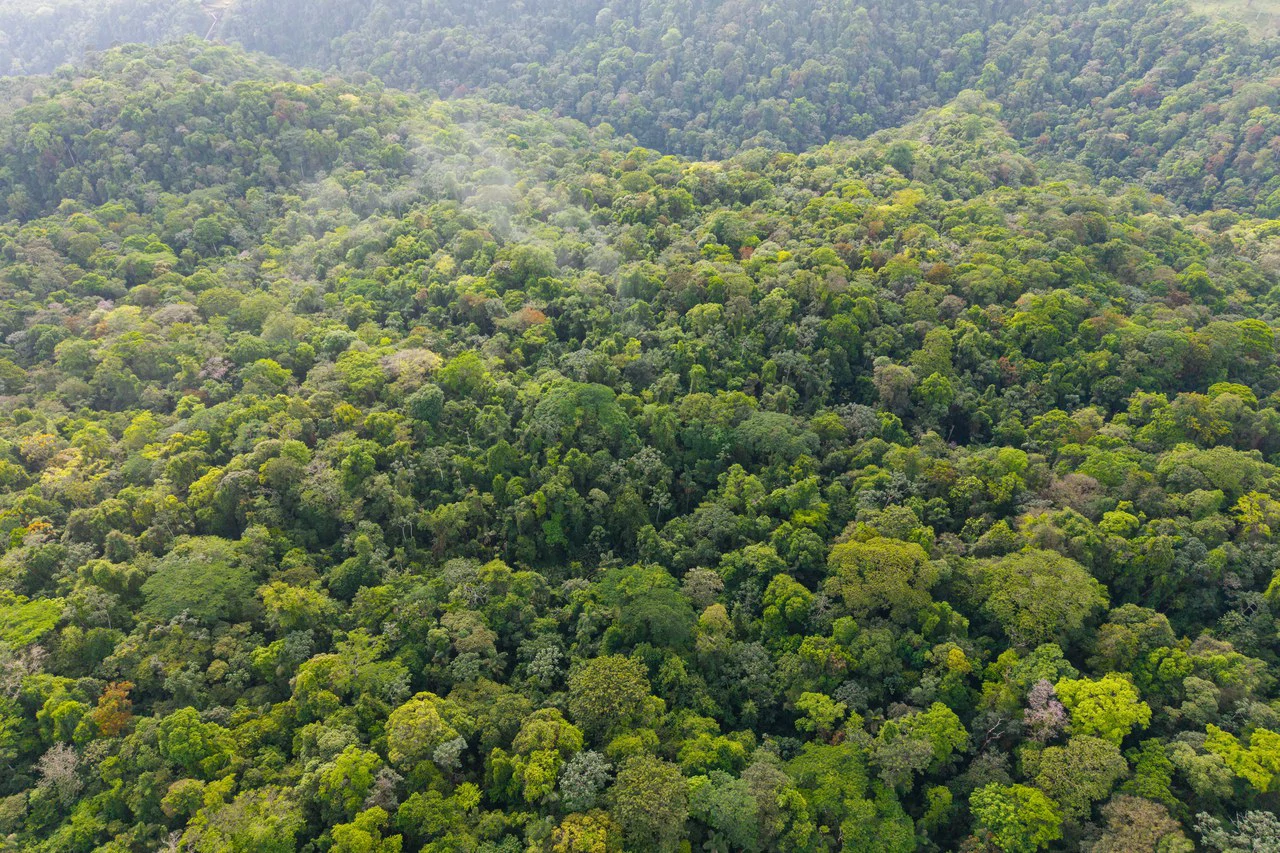 Finca Gran Bijagua: Breathtaking 10-Hectare Mountain Sanctuary in Bijagua, Costa Rica - Gallery image 2