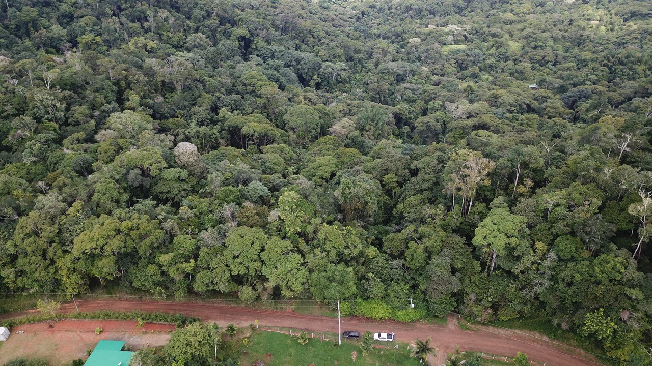Ocean View Forest Reserve with Private Homesite Near Tinamastes - Gallery image 9
