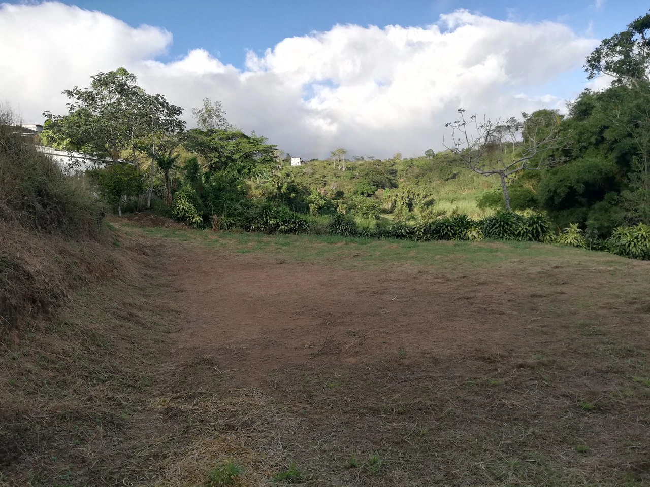 Nature Lot: REDUCED! 1,013 m2 lot off the main road
