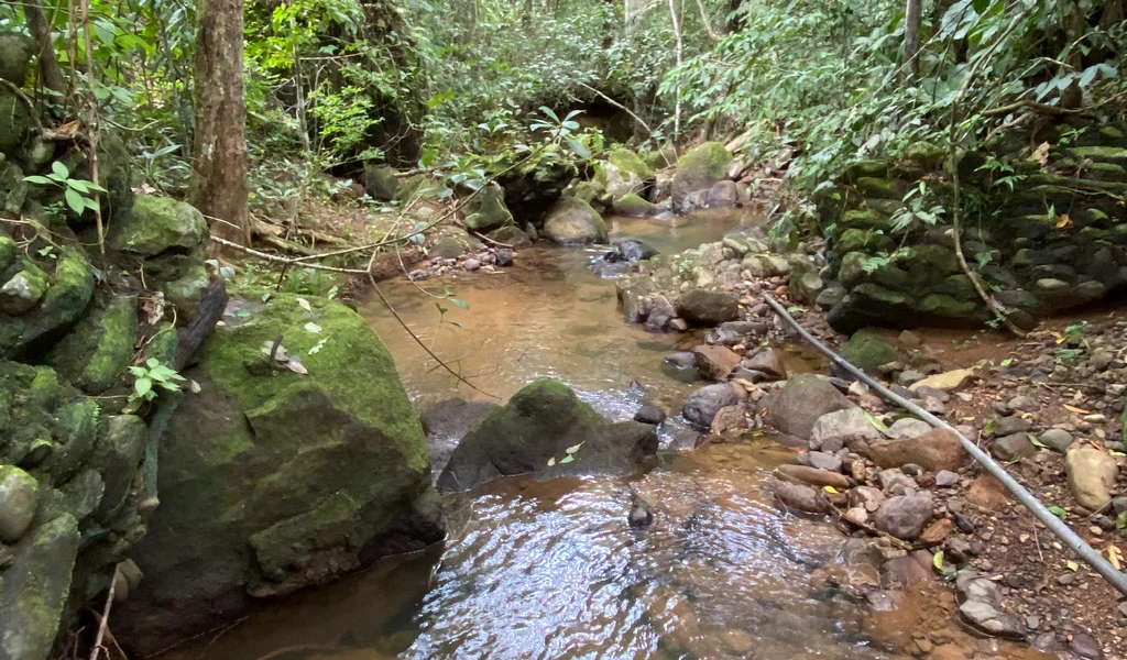 1.9 ACRES – Very Usable Flat Land Divided By An Across Running Creek, Tons Of Fruit Trees Plus Woods In The Back!!! - Gallery image 2