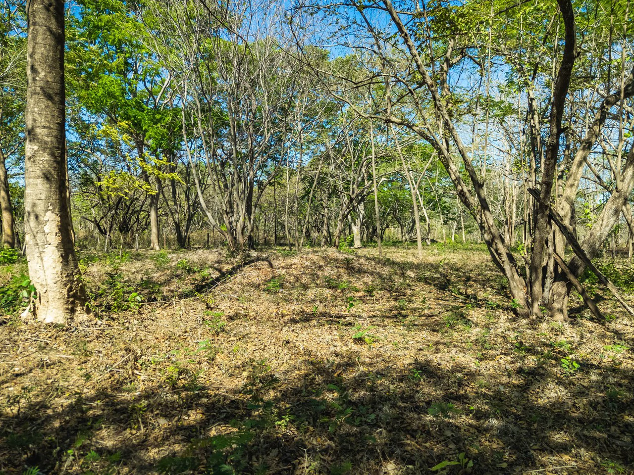 Bosque Escondido: Mixed-Use Lot Steps from Avellanas Beach - Gallery image 12