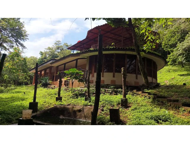 Tamarindo horse farm with two houses, a barn in the best natural setting - Gallery image 28