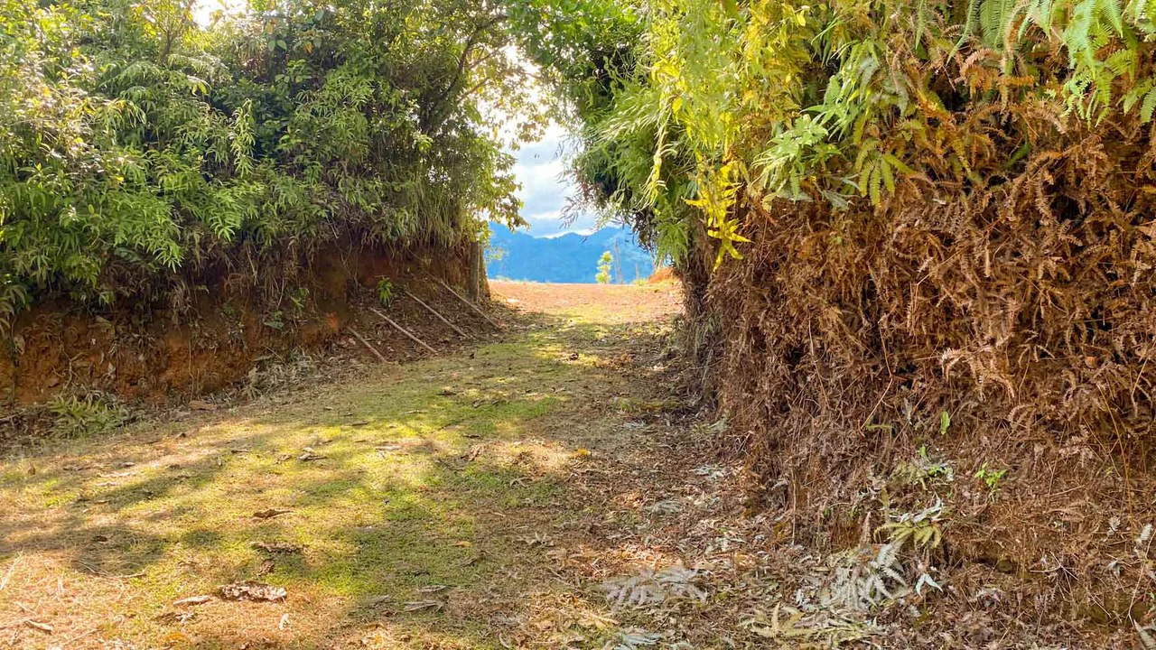 32 Acre Self Sustainable Farm with House Close Ojochal - Gallery image 47