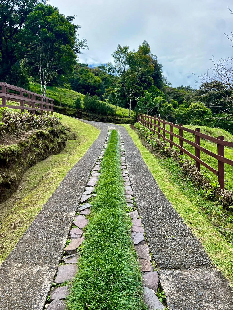 Hidden Paradise in Monteverde. Sierra Verde SV0125: 5 Hectares with Spectacular Views, a Beautiful and Cozy Main House and Caretaker’s Home Just 10 Minutes from Monteverde - Gallery image 5