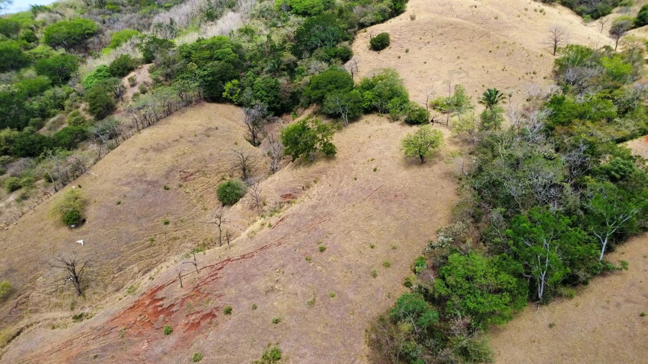 37-Hectare Ocean View Development Property Near Sámara, Buena Vista & Barrigona - photo 4