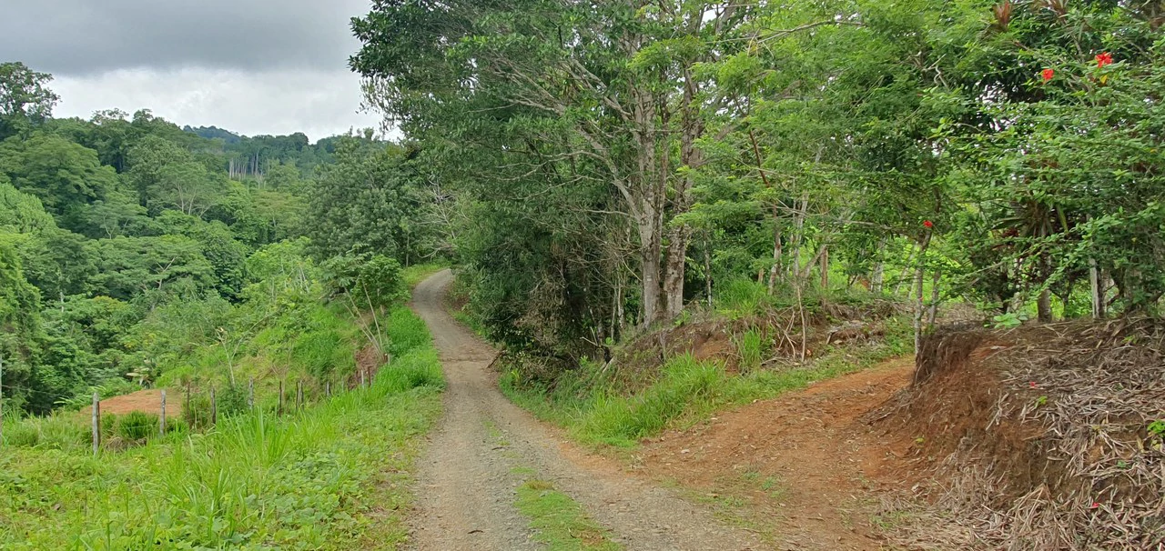 GULF VIEW PROPERTY IN PUERTO JIMENEZ, COSTA RICA - Gallery image 7