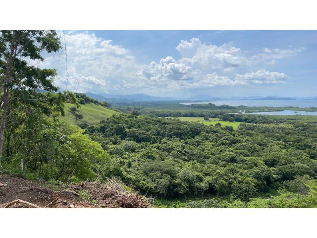 Top private property or Hotel Ground for Sale  Fascinating ocean island landscape views, in front of the future new island port, newly built massive ranchos, and luxury swimming pools - Gallery image 13