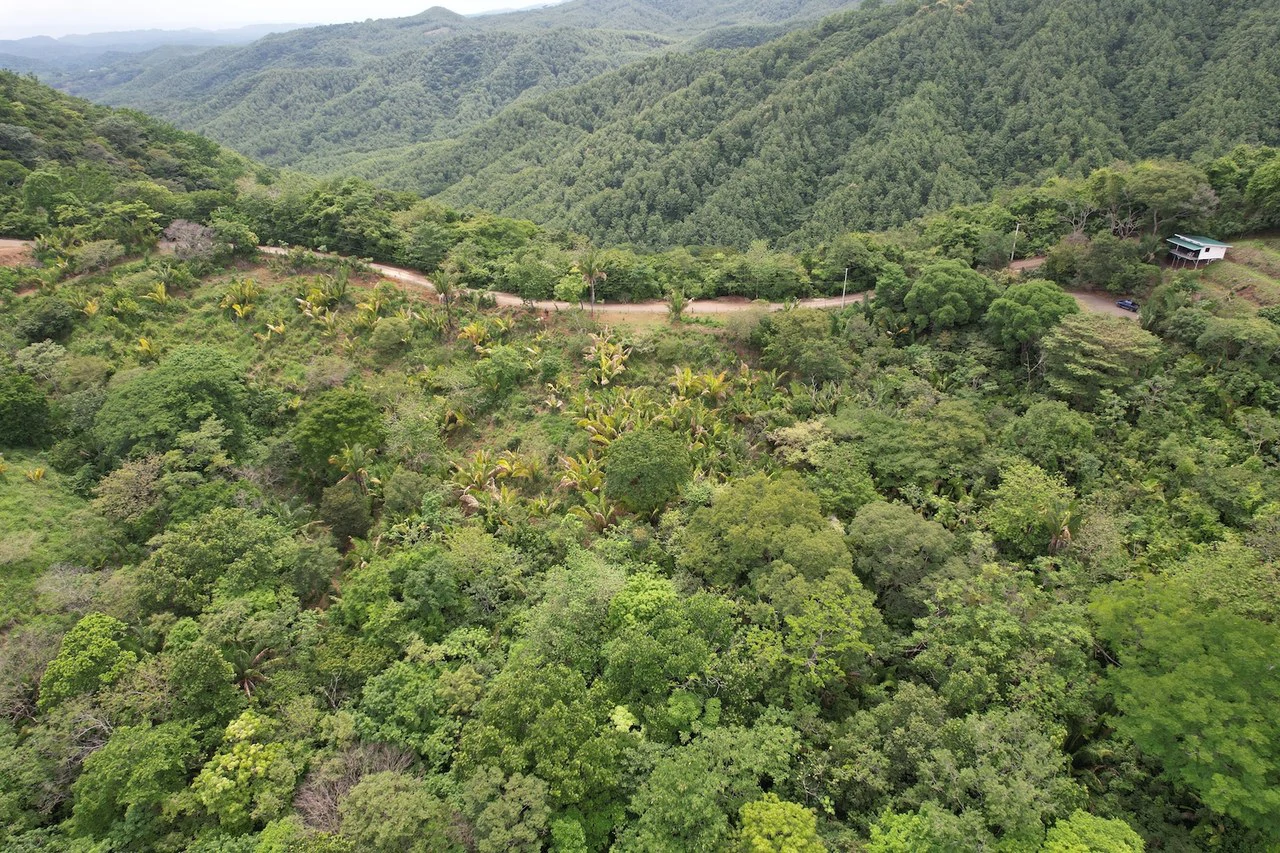 Lotes Paraíso: Spectacular Ocean and Mountain View 5.77 acres Development Land - Gallery image 6
