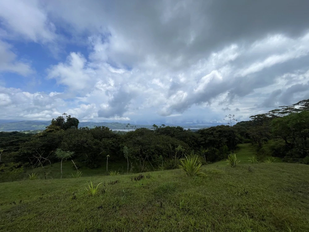 Nuevo arenal: Looking for a Property to Develop Family Residences with Lake Views? - Gallery image 25