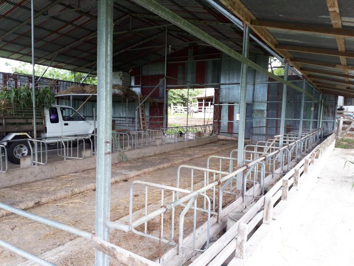 HACIENDA LOMBARDIA : Fully Operating Livestock Business - Gallery image 9