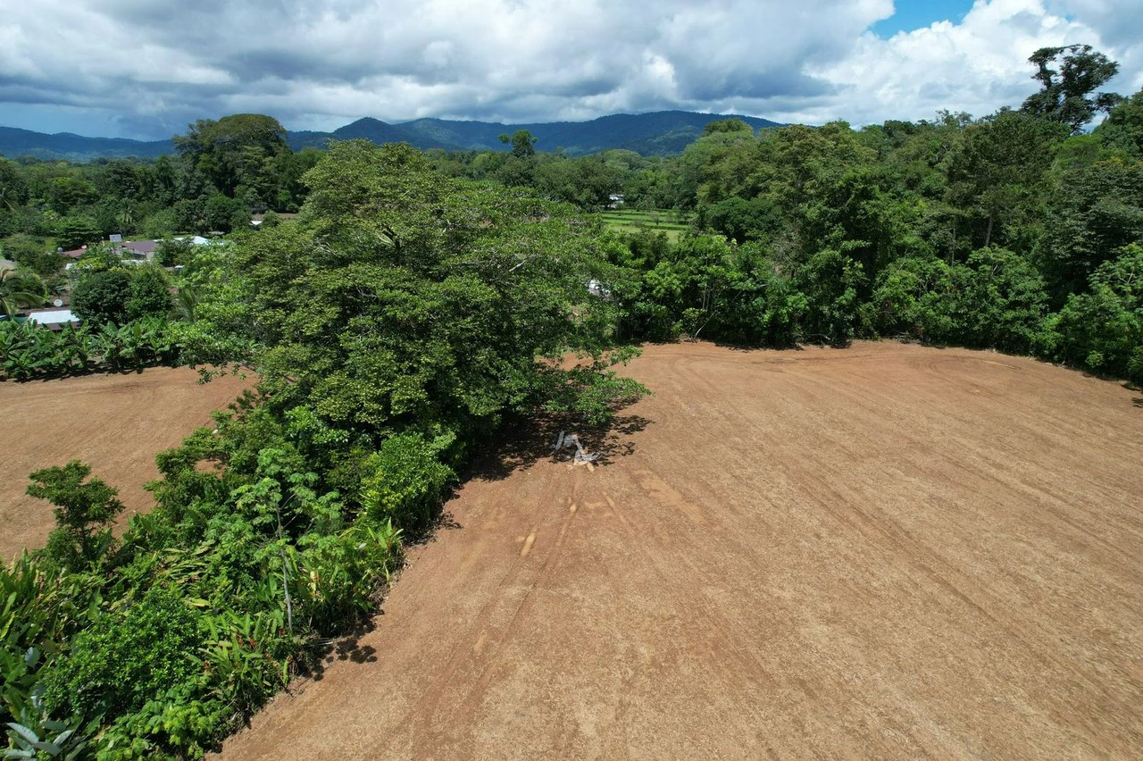 Finca La Palma, Puerto Jimenez: Excellent location ideal for development - Gallery image 6