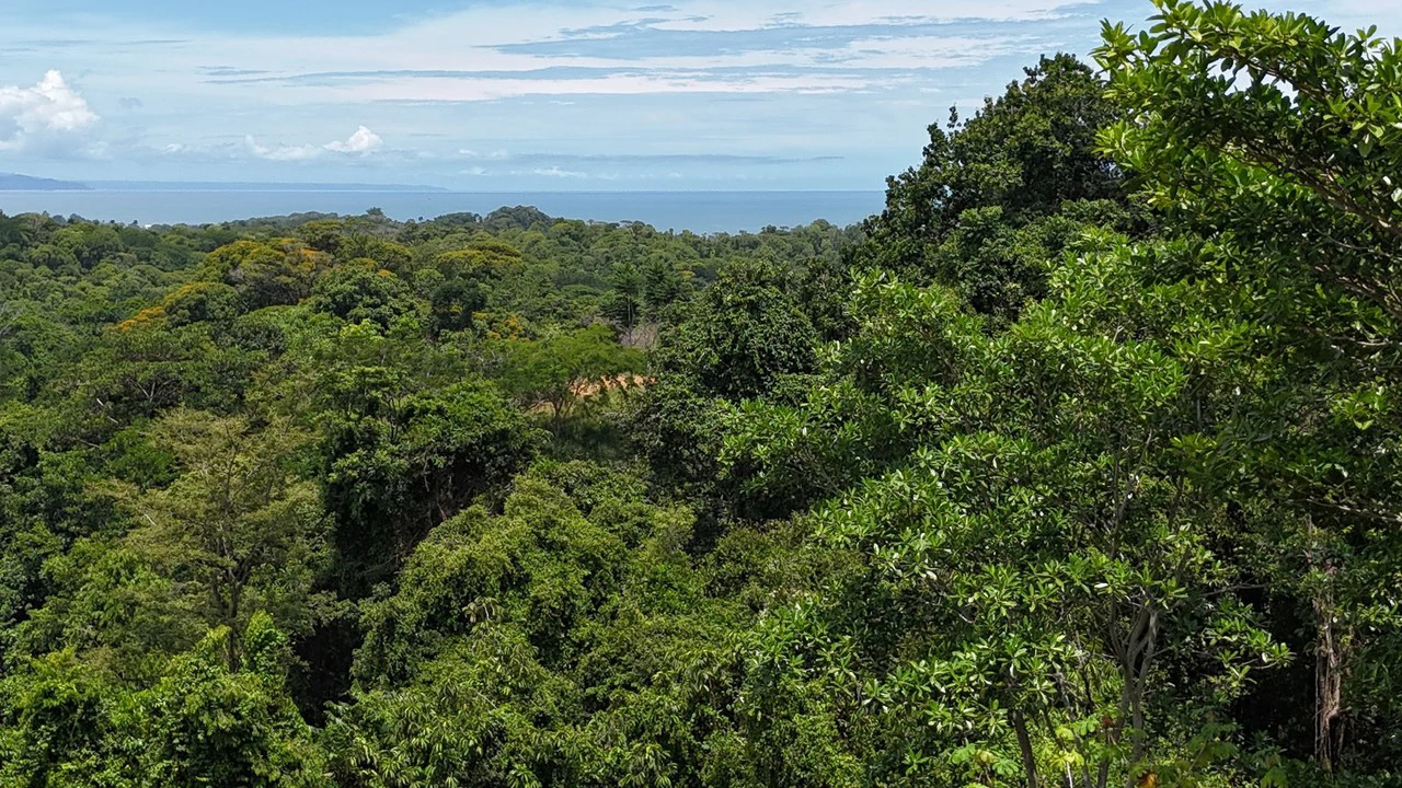 Exquisite Jungle property with Ocean View | Gated Community in Ojochal 3 - Gallery image 3