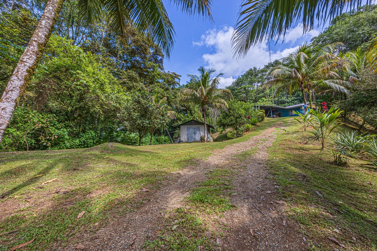 Tropical Hideaway – 7 Acres of Secluded Riverfront with a 3-Bedroom Home: Mountain House For Sale in Bahía Ballena - Gallery image 38