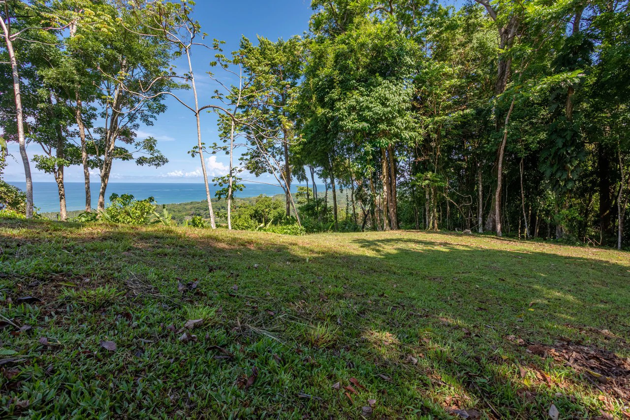 Front Row Ocean View Property with a Private Waterfall in Dominical - Gallery image 32