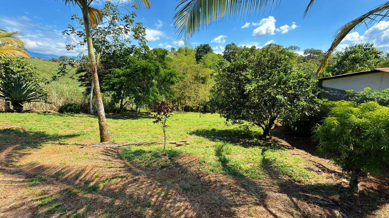 Countryside Home Construction Site For Sale in San Pedro - Gallery image 7