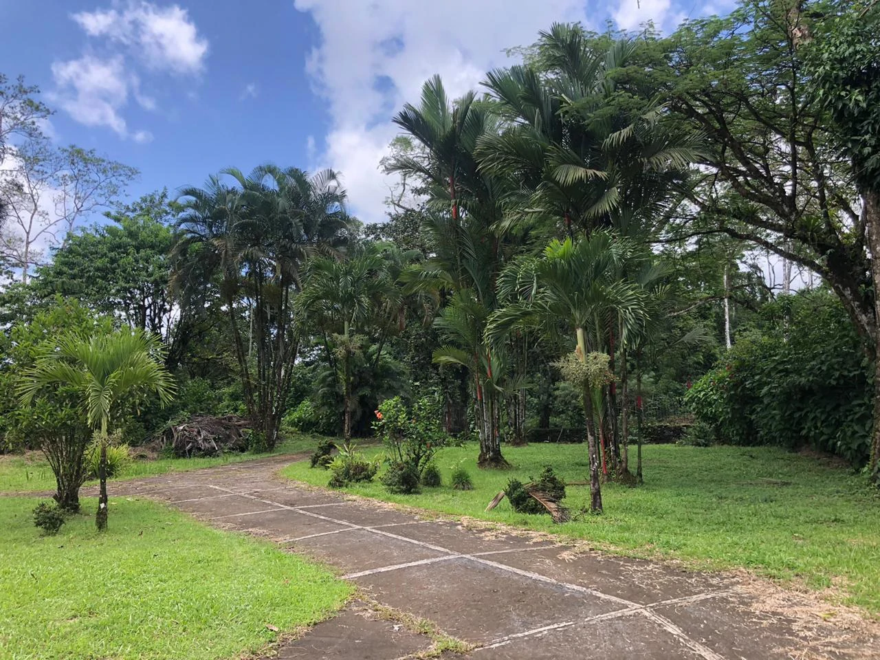 Hot Springs Property in Dos Ríos de Upala – Excellent Investment Opportunity - Gallery image 5