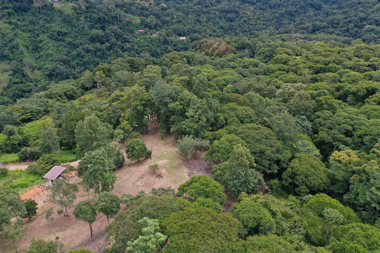 Diamante Waterfall View Land in Dominical 2.9 Acres - Gallery image 15
