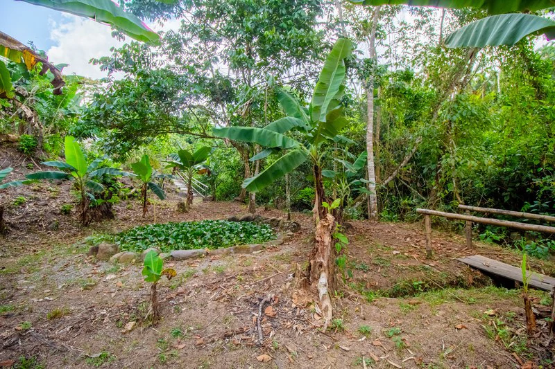 Casa San Pedrito: Beautiful house for sale in San Pedrito,(1,3hect) Perez Zeledon - Gallery image 11