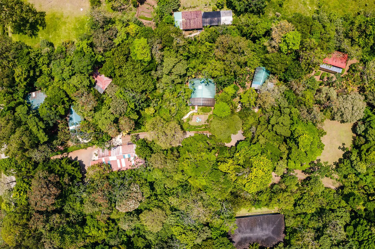 Casitas Tenorio B&B: Turnkey Eco-Lodge in Bijagua: Profitable Business, Sustainable Luxury, and Breathtaking Nature - Gallery image 6