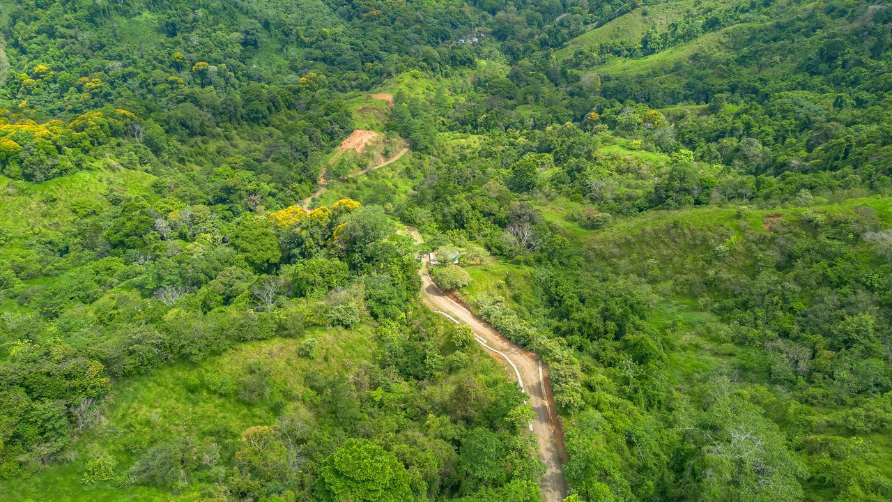 60+ Hectares in Platanillo | Own Your Own Mountain in Costa Rica - Gallery image 27