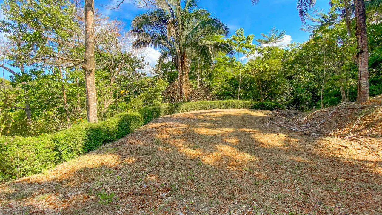 32 Acre Self Sustainable Farm with House Close Ojochal - Gallery image 50