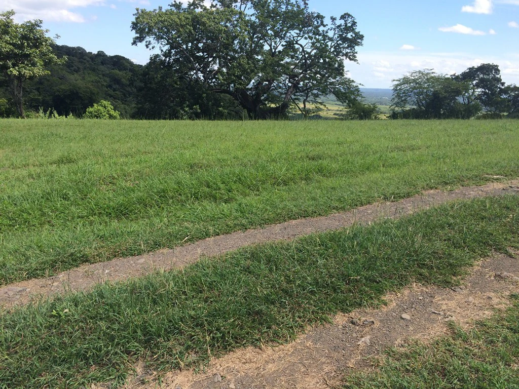 Great Ocean, valley and garden view Lots for sale in a Private Gated Community in Peninsula Papagayo - Gallery image 9