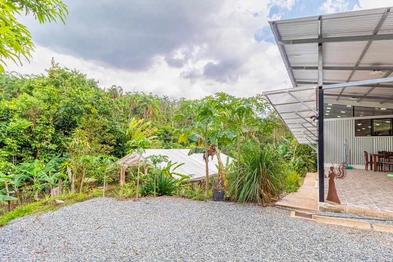 Casa San Pedrito: Beautiful house for sale in San Pedrito,(1,3hect) Perez Zeledon - Gallery image 15