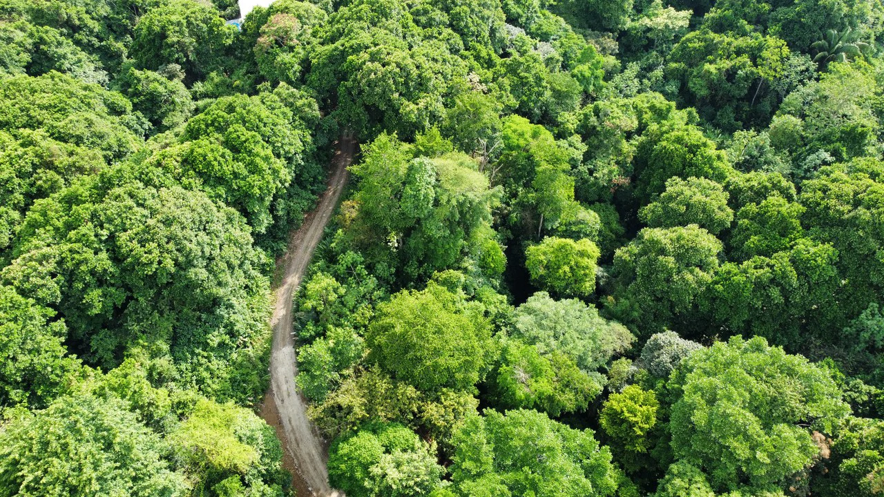 Unique property with creek and waterfall in lush jungle: Mountain Home Construction Site For Sale in Damas