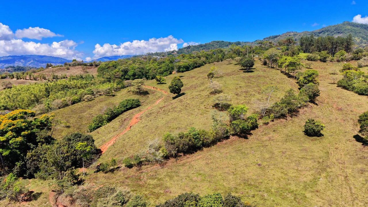 Agricultural Land For Sale in MORAZAN - Gallery image 13