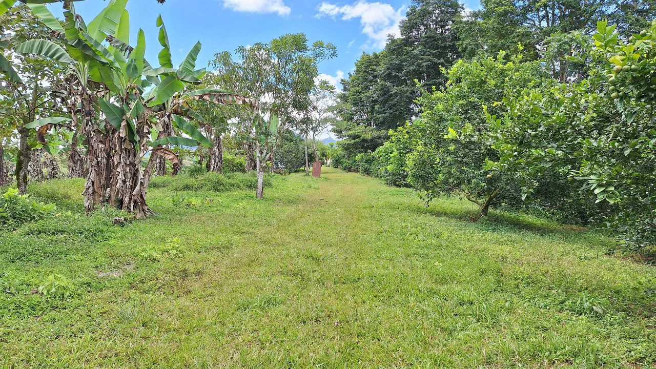 SE VENDE PROPIEDAD DE 5.5HA, SANTA MARTA DE CAJÓN, PEREZ ZELEDON.: Mountain Home Construction Site For Sale in Cajón - Gallery image 7