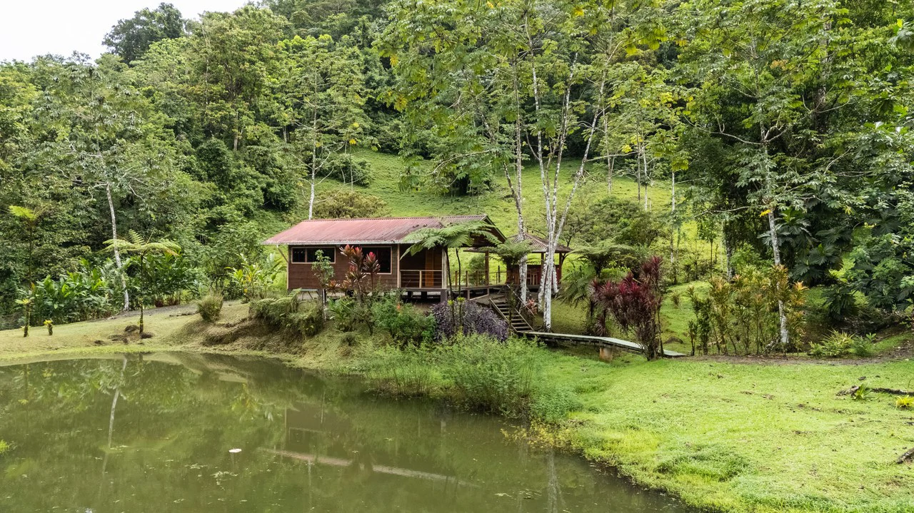 Finca Mei Tai: Enchanting property! Don't miss your chance to own a piece of paradise! - Gallery image 48
