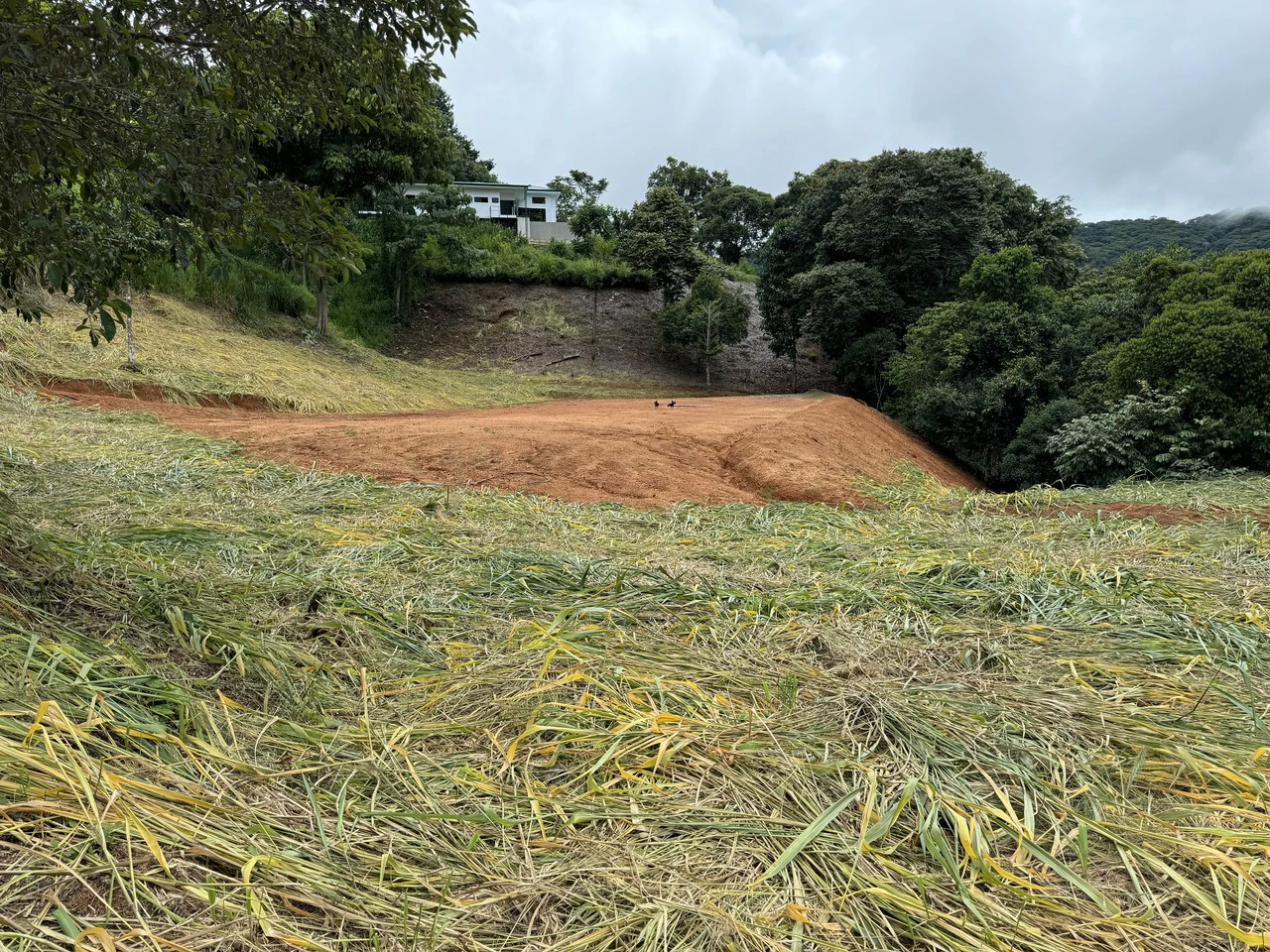 Playa Dominical Mountain Farming Property - Gallery image 3