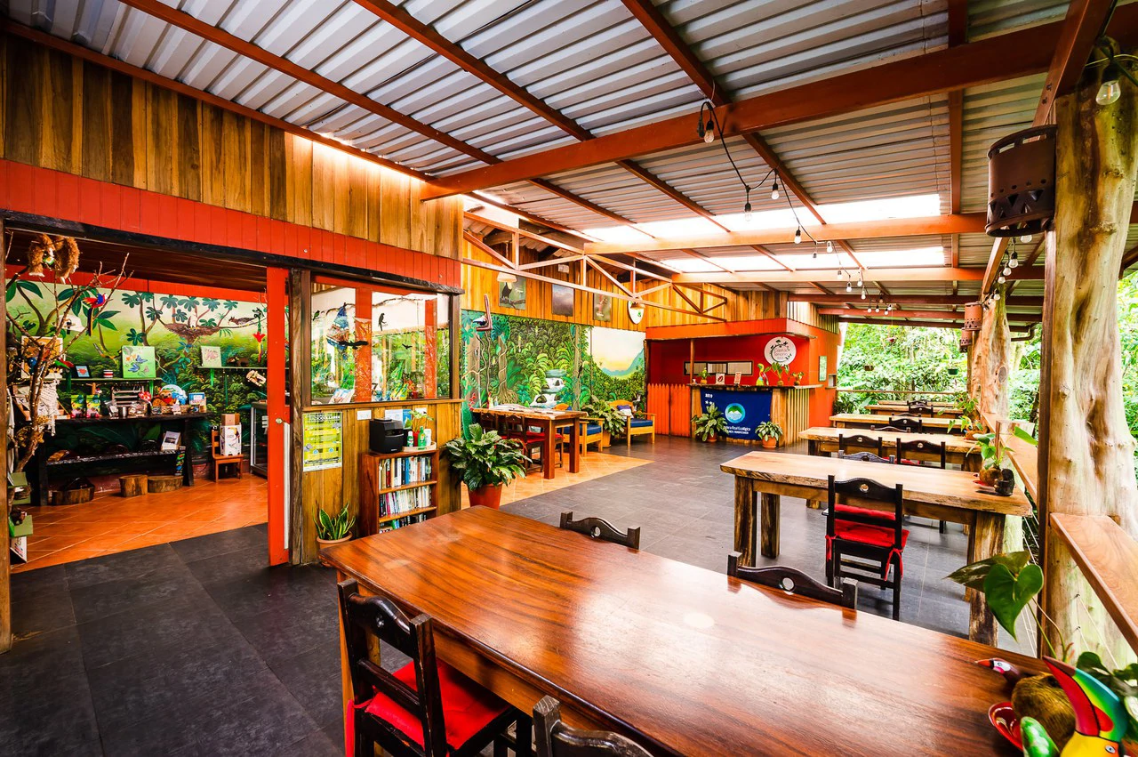 Casitas Tenorio B&B: Turnkey Eco-Lodge in Bijagua: Profitable Business, Sustainable Luxury, and Breathtaking Nature - Gallery image 4