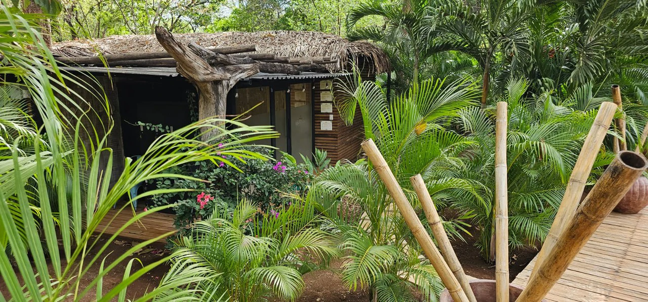Successful Wellness and Spa with restaurant: One Of A Kind, Successful Wellness, Spa And Restaurant Oasis Close To Tamarindo - Gallery image 3