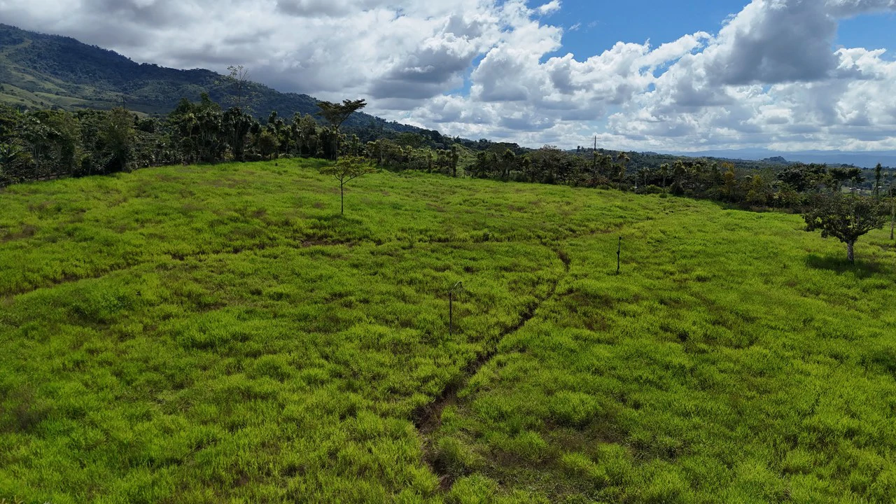 Countryside Home Construction Site For Sale in Santa Elena - Gallery image 3