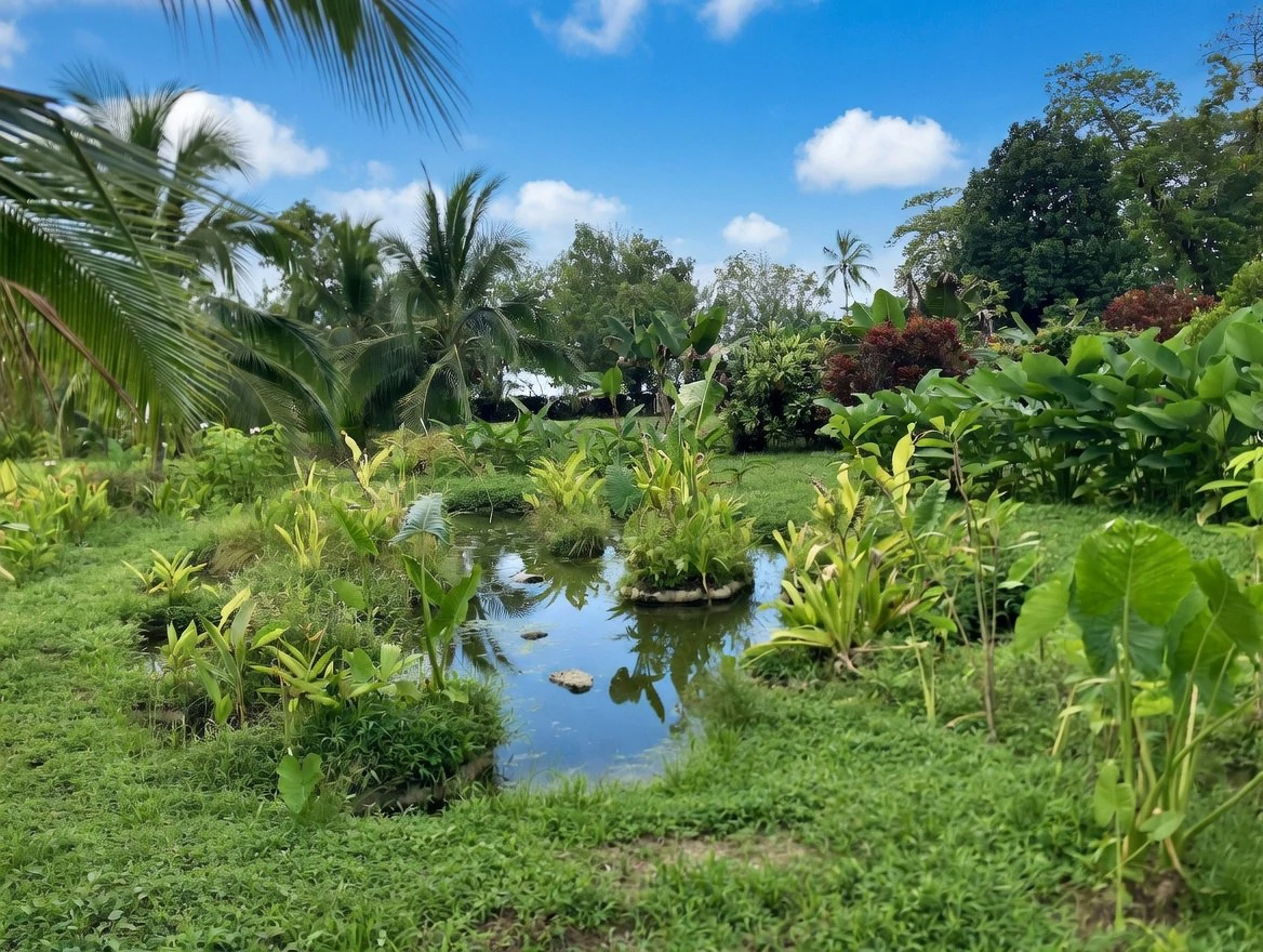 Casa Bromelia: Drake Bay Beachfront Paradise Property Near Corcovado - Gallery image 16