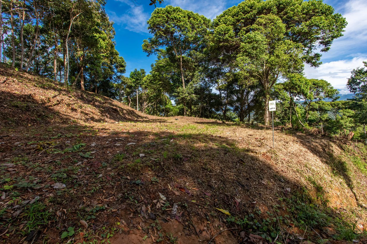 2.9 Acre Paradise with Diamante Valley Views Dominical - Gallery image 23