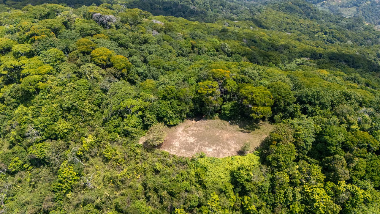 136 Acres of Oceanview Land with Multiple Building Sites | A Rare Development Opportunity in Costa Rica - Gallery image 15