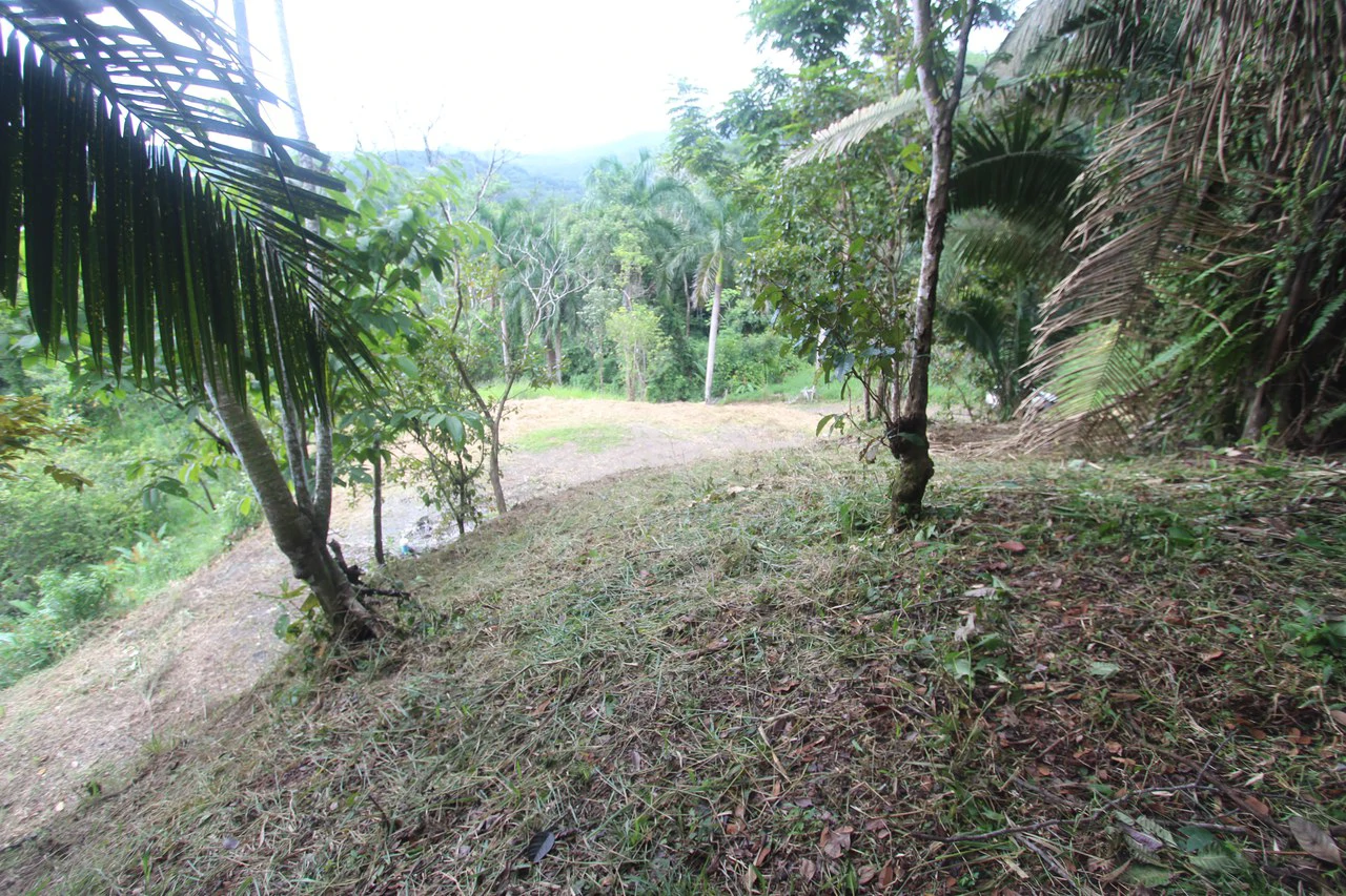 Whitewater Sunset Ocean View Lot Close to Dominical Beach - Gallery image 25