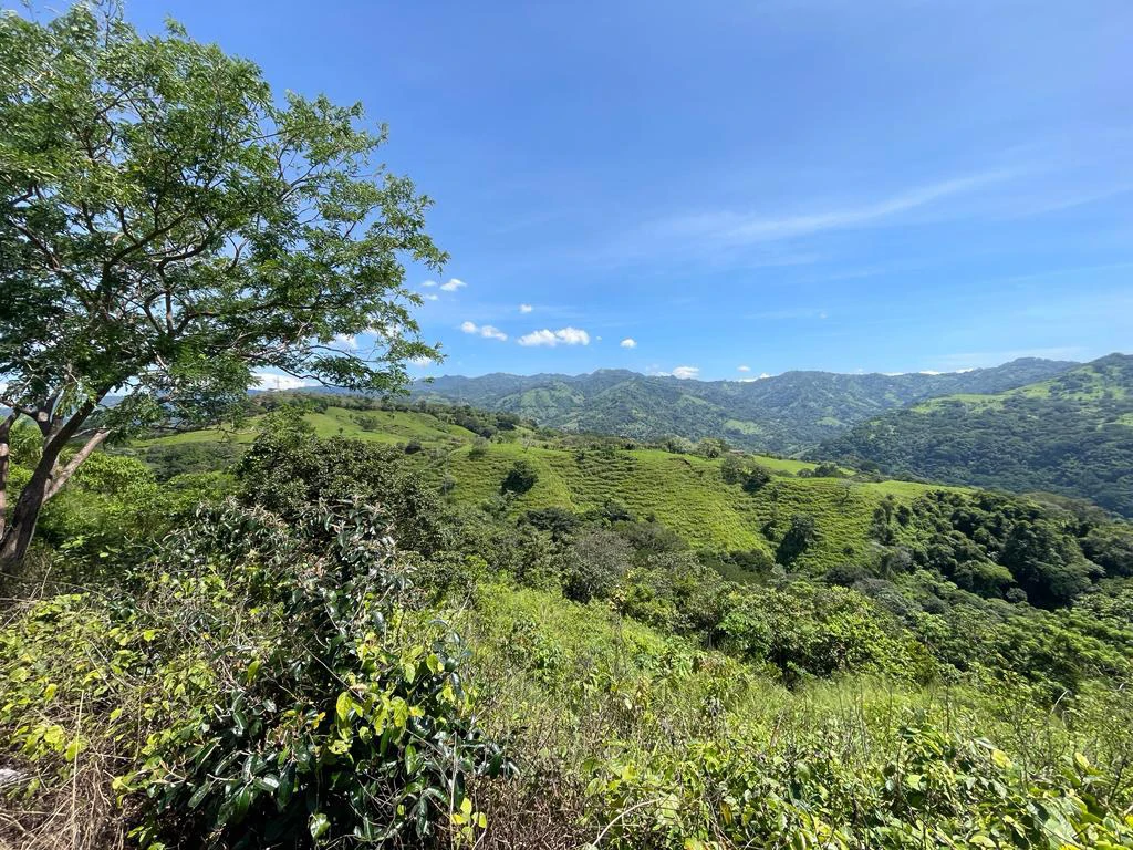 Lot for sale in Residential  Vista Mar mountains view between San Mateo Orotina Alajuela Costa Rica - Gallery image 4