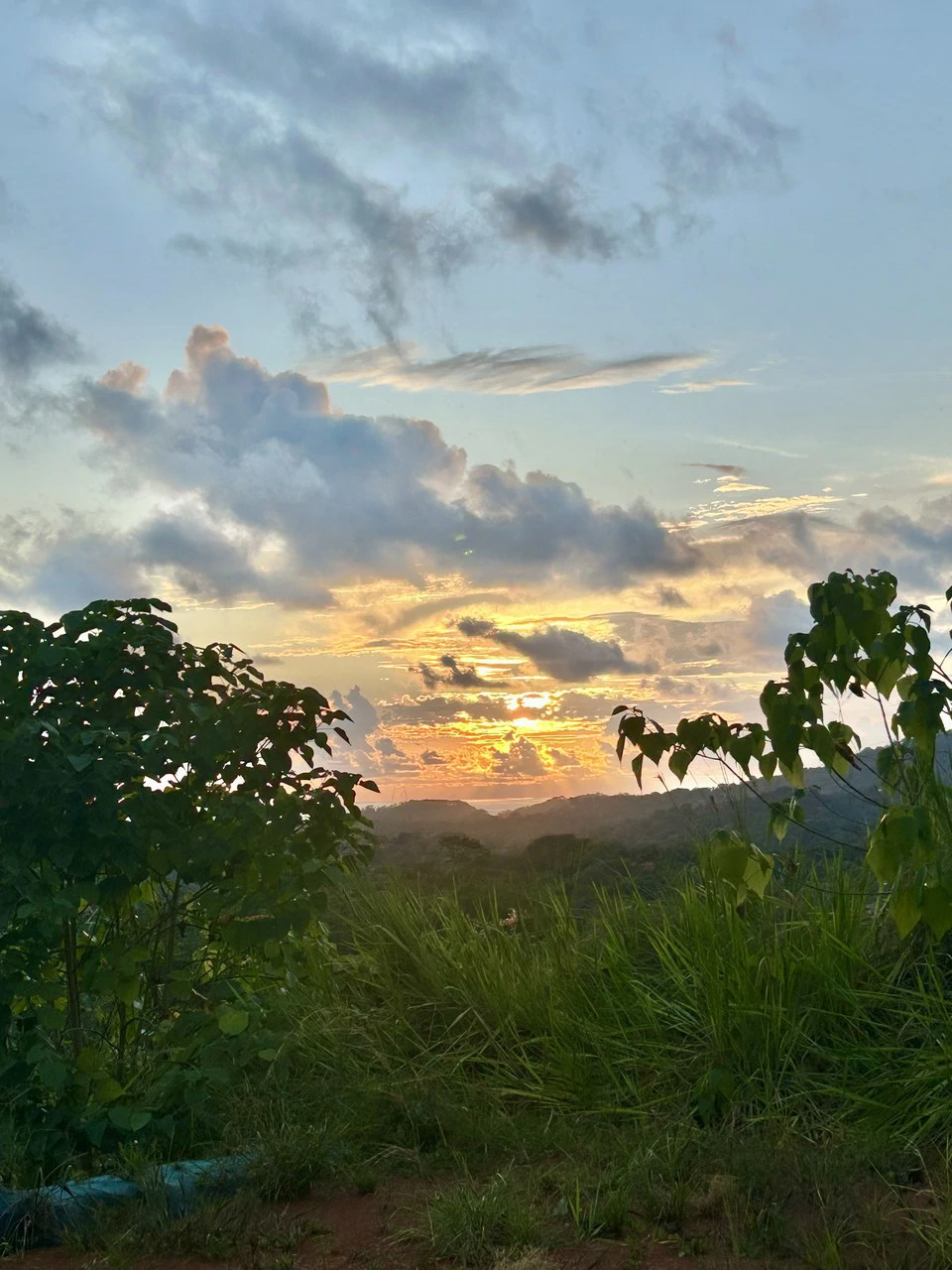 Price Reduced! Panoramic Ocean View Lot in Prestigious Phase 11 Ojochal – 2.77 Acres with Luxury 3D Home Design Included - Gallery image 49